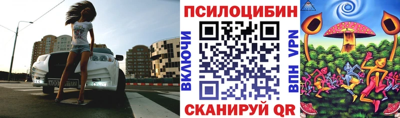 Псилоцибиновые грибы GOLDEN TEACHER  Старая Купавна 